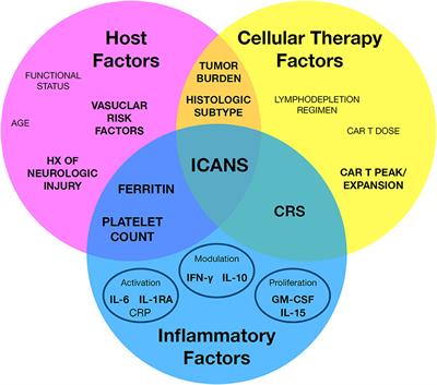 Frontiers A Systematic Framework For Predictive Biomarkers In Immune